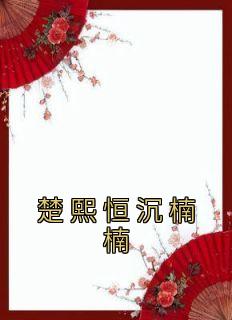 主角是沉楠楠楚熙恒的小说叫什么《楚熙恒沉楠楠》免费全文阅读