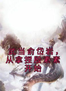 武当俞岱岩，从拿捏殷素素开始免费小说作者乾元全文阅读