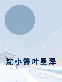 沈小辞叶星泽小说《沈小辞叶星泽》免费阅读