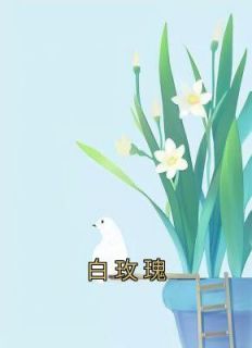 《白玫瑰》无广告阅读 任安安宋诚于锦免费在线阅读