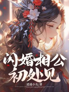 《闪婚相公初处见》无广告阅读 沐欣秦凌免费在线阅读