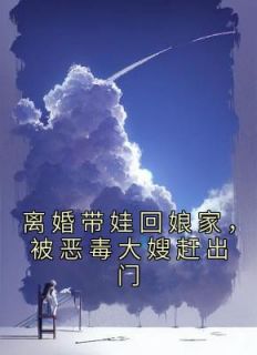 离婚带娃回娘家，被恶毒大嫂赶出门小说(完本)-陈芸顾震无错版阅读