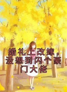 《婚礼上改嫁，没想到闪个豪门大佬》白星云苏云波-小说txt全文阅读