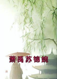 萧禹苏锦婉知乎后续免费试读