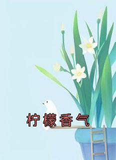 书荒必备《柠檬香气》全文章节阅读