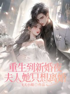 精选好书《重生到新婚夜，夫人她只想离婚》无删减版全文在线