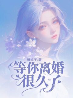 (精品)等你离婚很久了小说