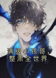 李小树冰冰主角的小说完结版《满级小孩哥，整肃全世界》全集