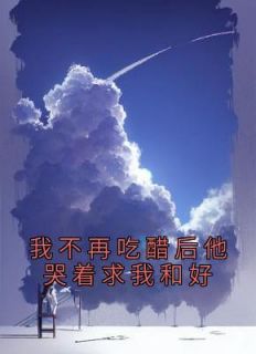 周念陆禹川《我不再吃醋后他哭着求我和好》完结版小说全文免费阅读