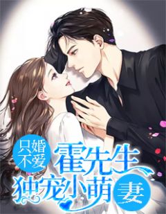 《只婚不爱：霍先生独宠小萌妻》小说全文精彩阅读 夏栀霍怀琛小说阅读