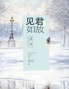 《都市绝品神医》小说章节精彩试读 夏宇苏铭小说全文