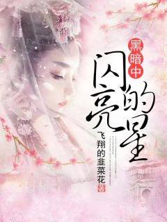 《黑暗中闪亮的星》陈百合陆司川章节目录在线试读