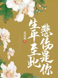 《生平至此，悲伤是你》沧澜琉裳完结版在线阅读