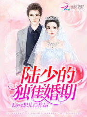 小说《陆少的独佳婚期》沈佳妮陆子靠全文免费阅读