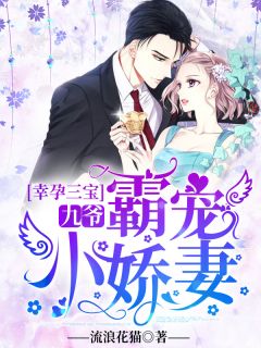 好书推荐《闪婚神秘大叔》夏瑾瑶褚君霆全文在线阅读