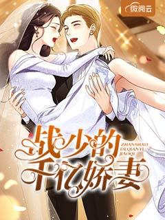 《总裁高冷：萌宝帮追妻》安瑜白祁小说精彩章节免费试读