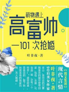 《第101次抢婚》小说大结局精彩阅读 顾阑珊盛世小说全文