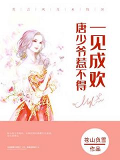 《一见成欢：唐少爷惹不得》小说全文在线试读 叶清络唐淮离小说全文