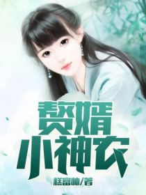 赘婿小神农吴磊方怡目录 赘婿小神农小说阅读