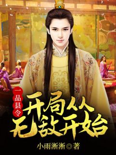 一品县令：开局从无敌开始秦风甲午目录_一品县令：开局从无敌开始阅读