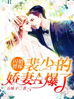 《闪婚替嫁：裴少的娇妻A爆了》小说完结版在线试读 林沐雪裴景琛小说全文